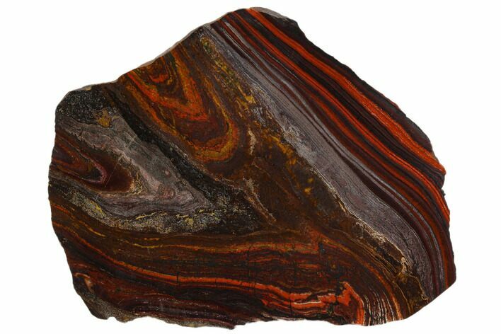 Polished Tiger Iron Stromatolite - Billion Years #129286